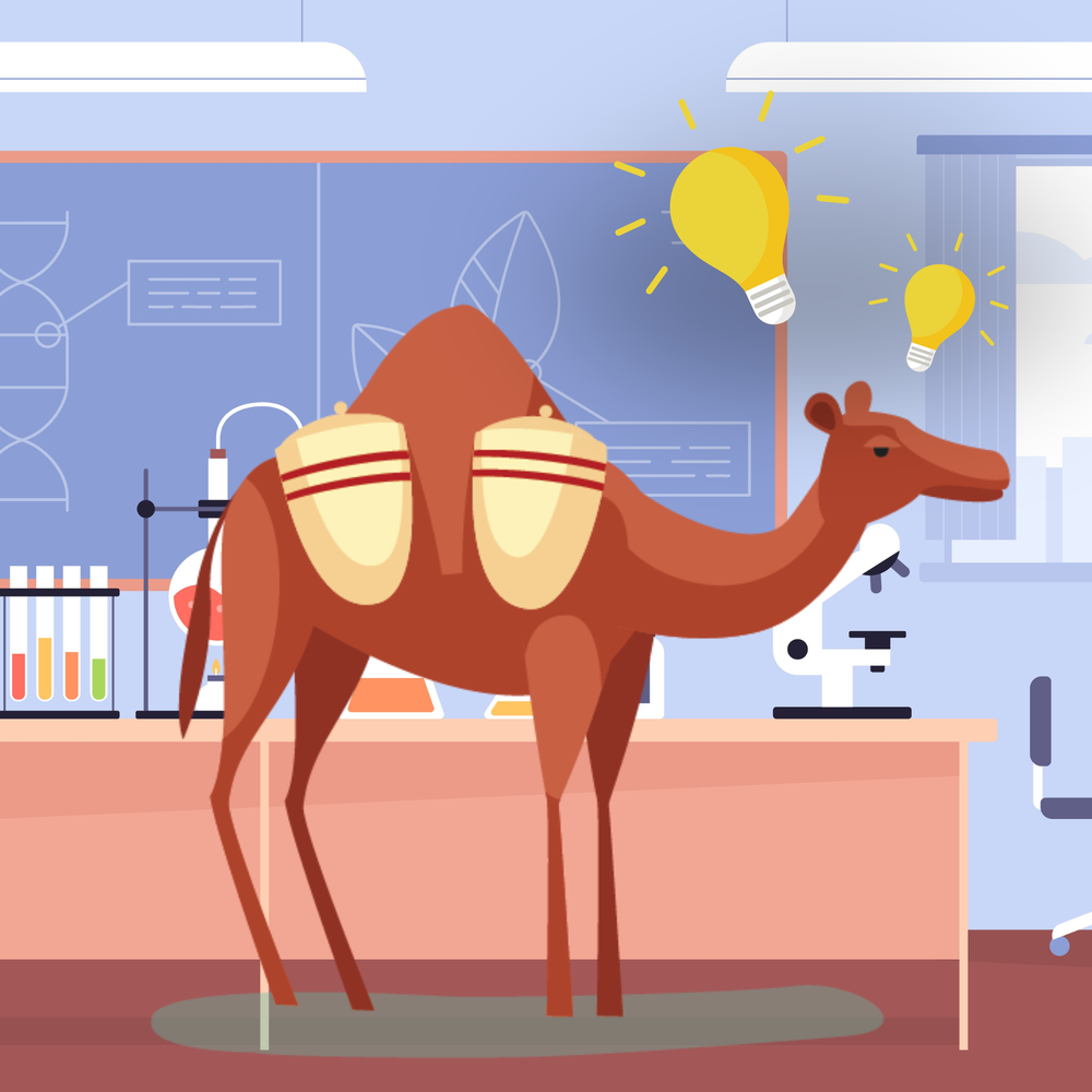 Smart Camel