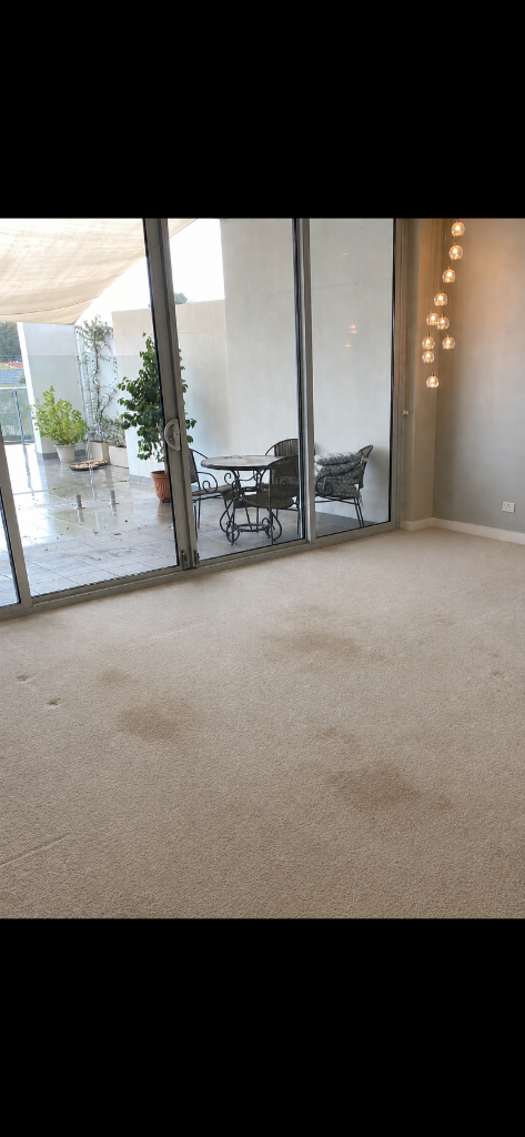 Before Supakleen carpet steam clean in Perth