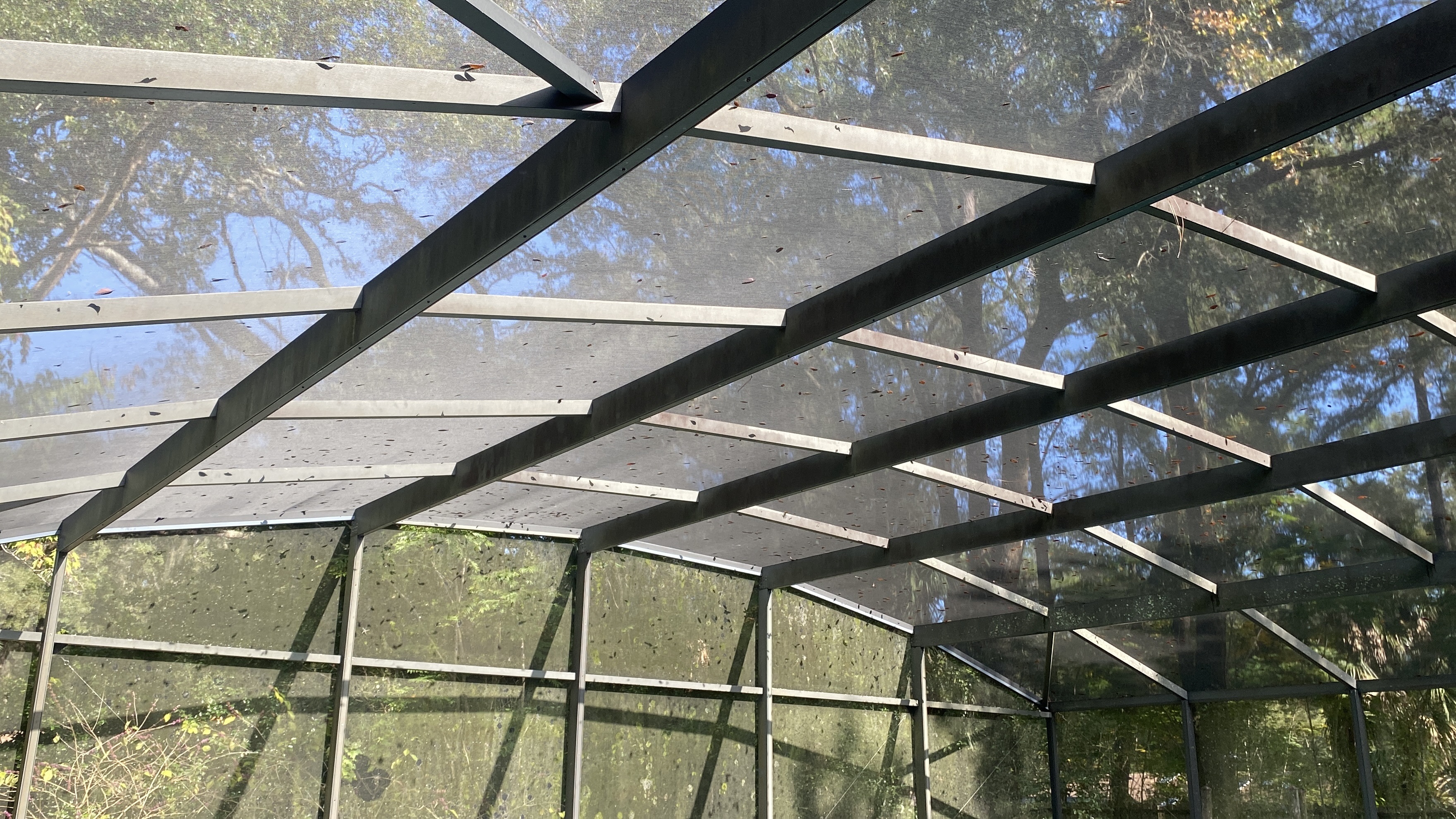 View from inside a pool enclosure showing aluminum roof framing and screen mesh
