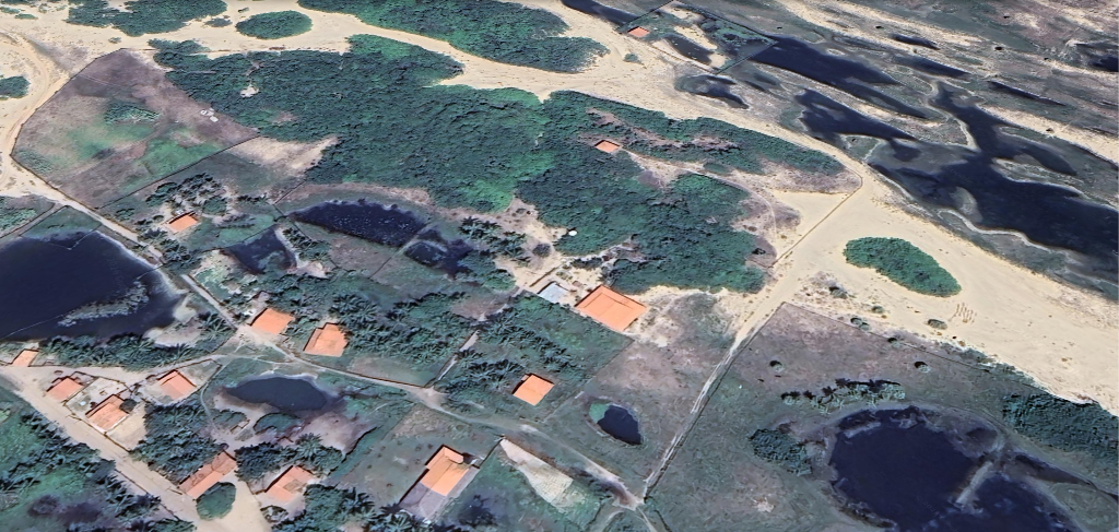 Arpoador