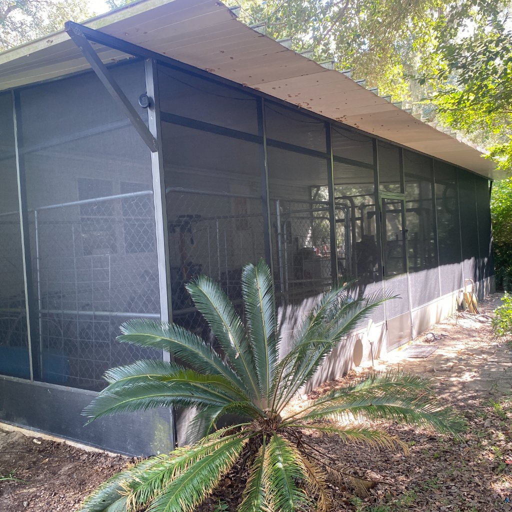 Deltona porch screen repair