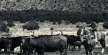 Restoring Western Ranching Through Federal Land Grazing Reform