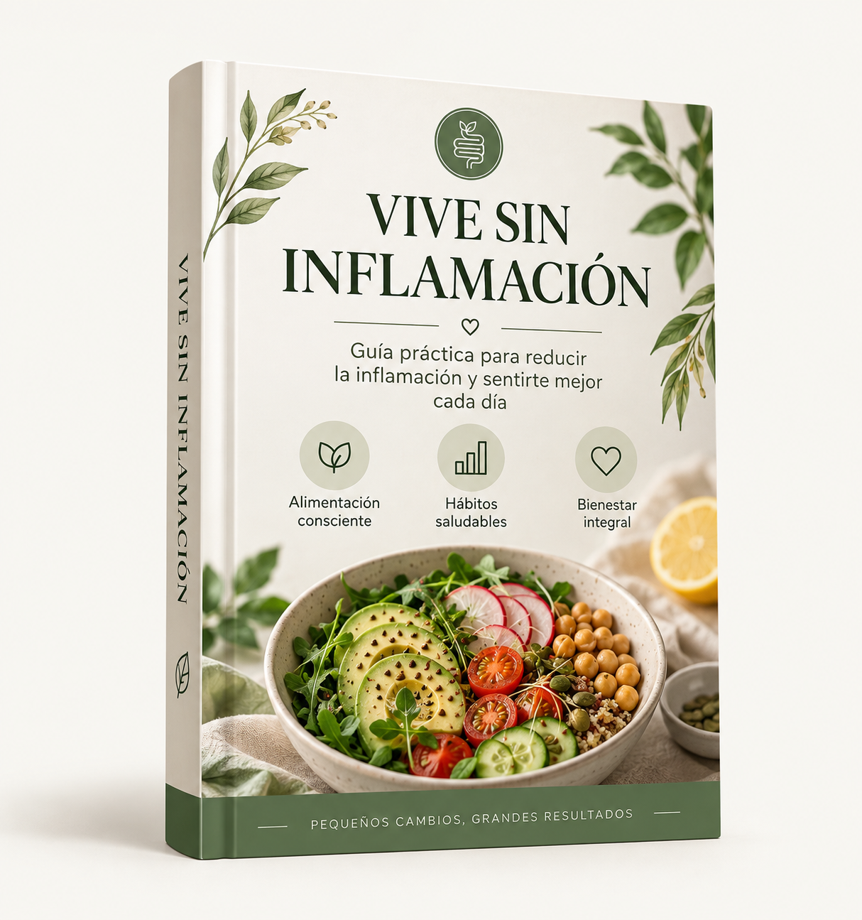 Vive Sin Inflamación