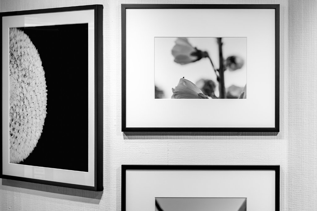 Mehrere gerahmte Fine Art Prints an einer weissen Wand mit duennen schwarzen Rahmen