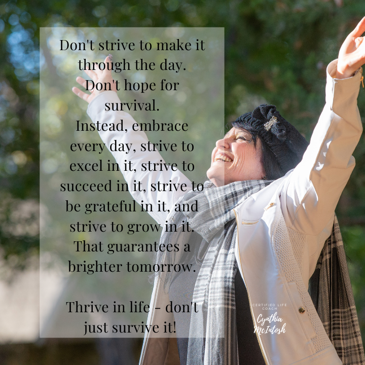 Thrive in life - don't just survive it. Inspirational quote by Cynthia McIntosh