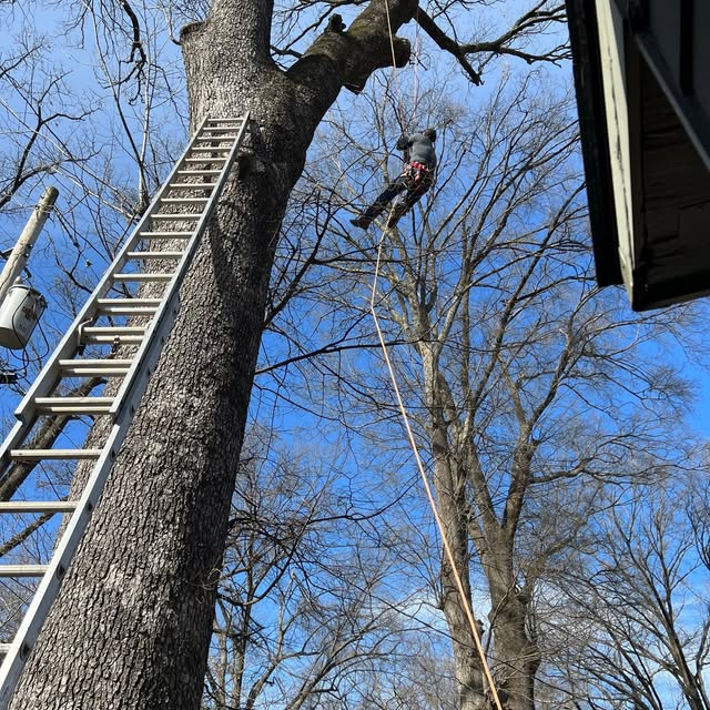 Hail Damage Inspection