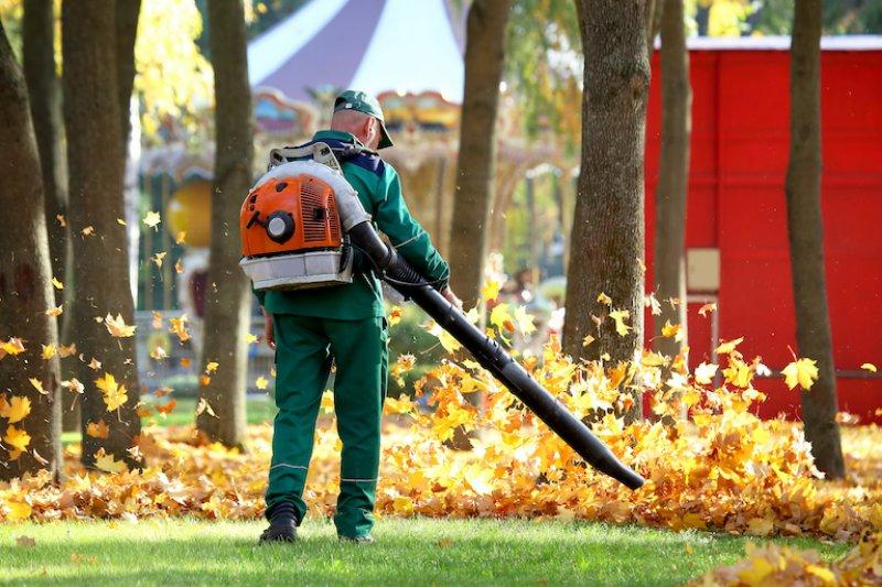 Yard cleanup service Citrus County FL – Handyman Heroes