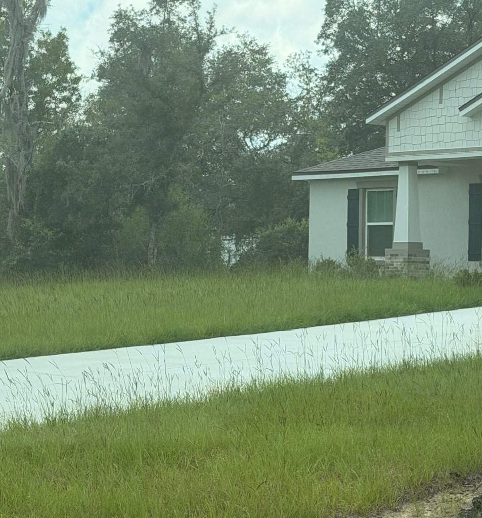 Before: Lawn mowing and edging in Citrus County FL - overgrown front yard cut and edged to a clean finish