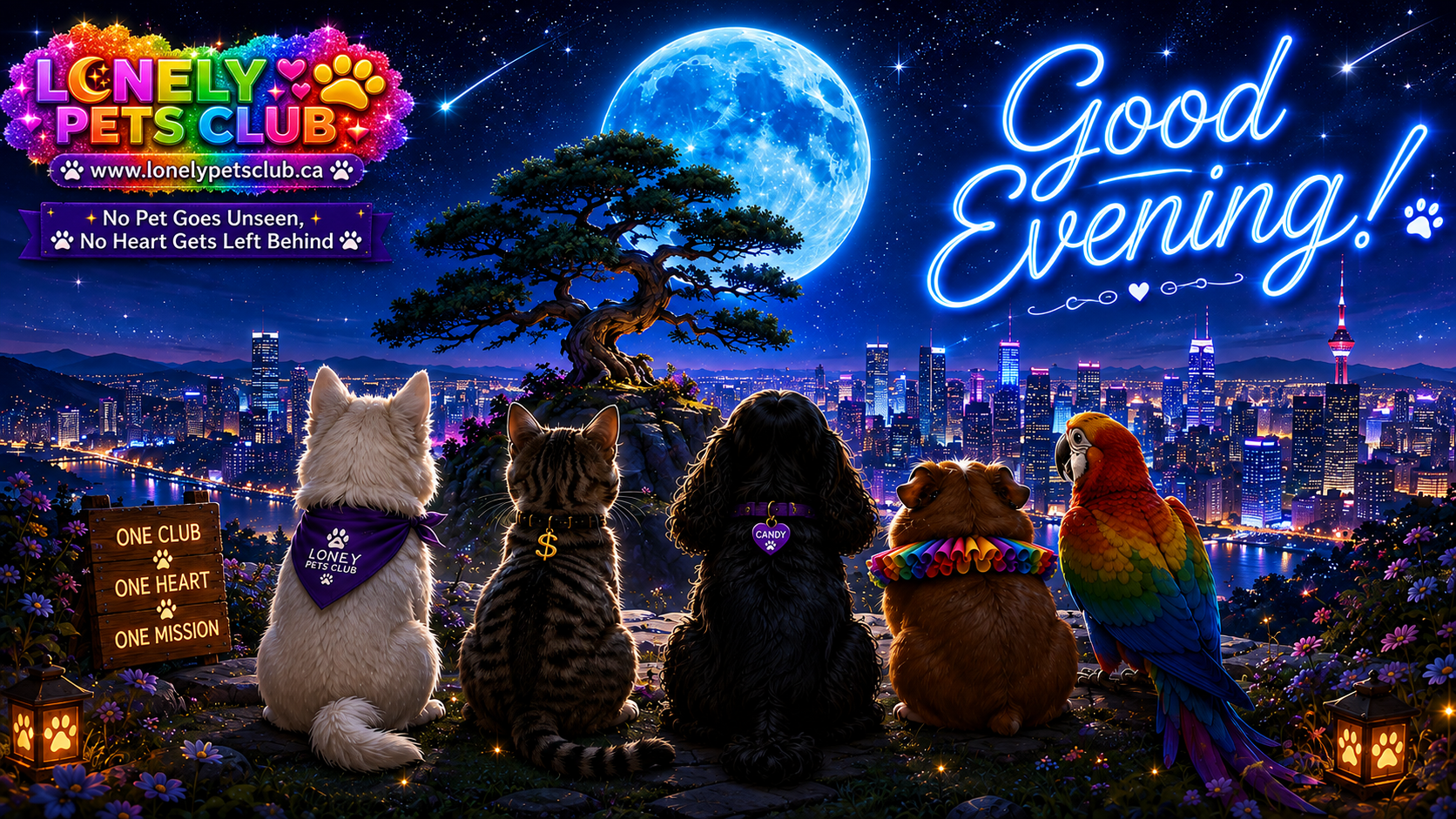 Good Evening from the Lonely Pets Club — LONELY PETS CLUB, www.lonelypetsclub.ca, No Pet Goes Unseen, No Heart Gets Left Behind