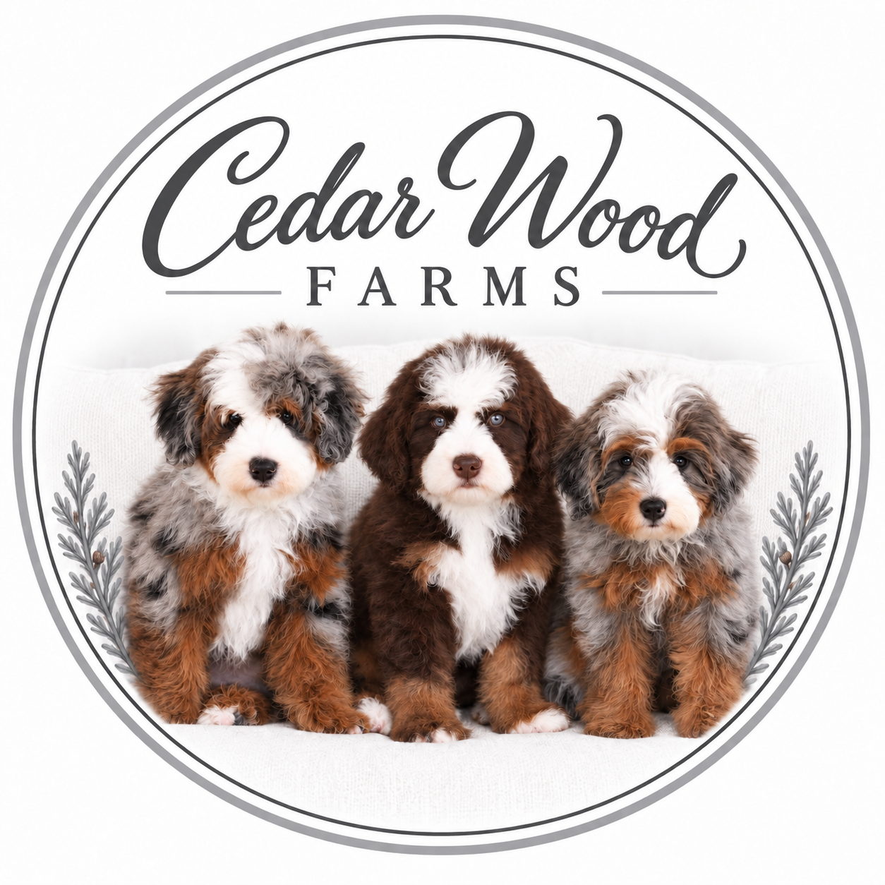 Cedar Wood Farms logo