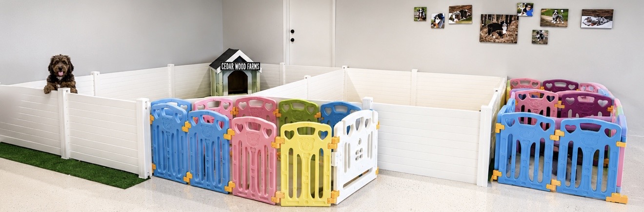 Our whelping room with puppy playpens and Cedar Wood Farms dog houses