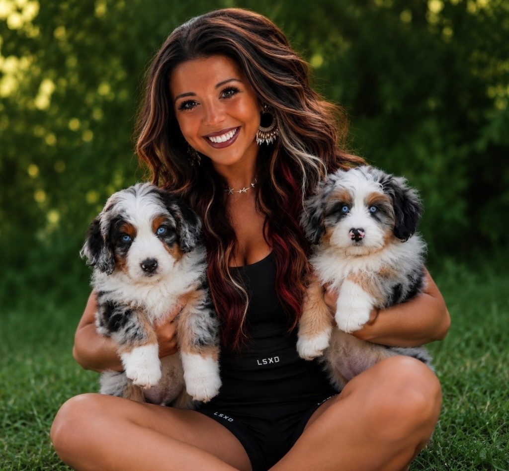 5 Training Tips for Your New Cavapoo Puppy