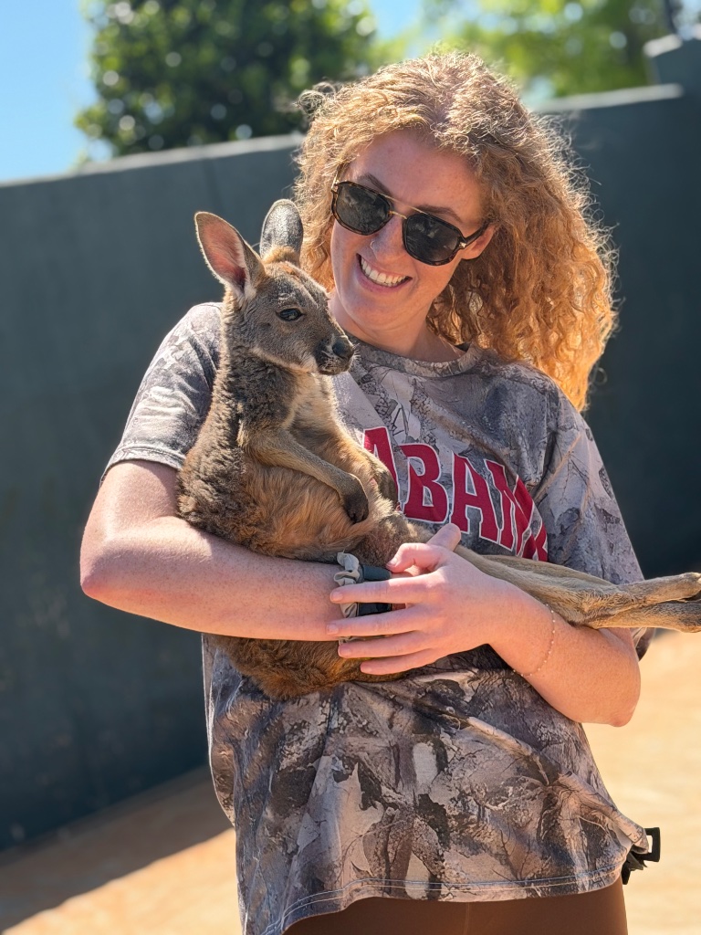 Kangaroos