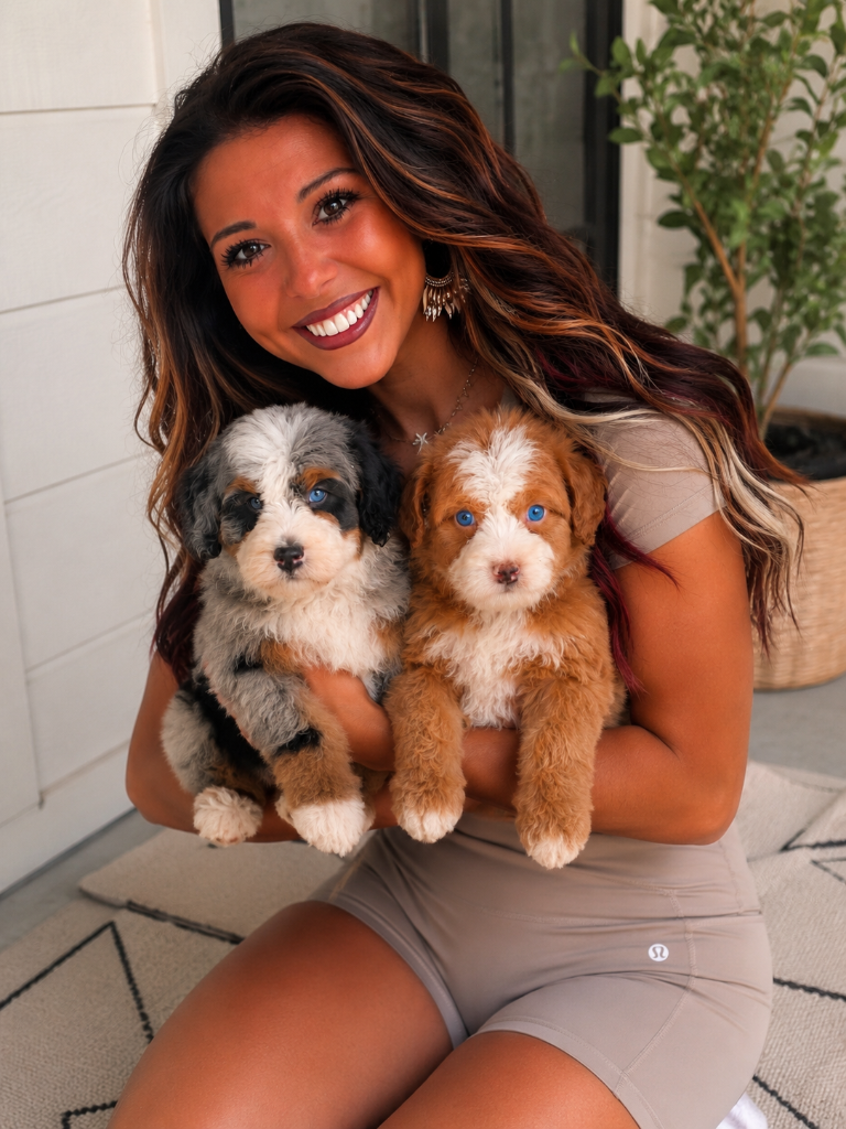 Cedar Wood Farms family holding a Cavapoo and a Mini Bernedoodle puppy side by side