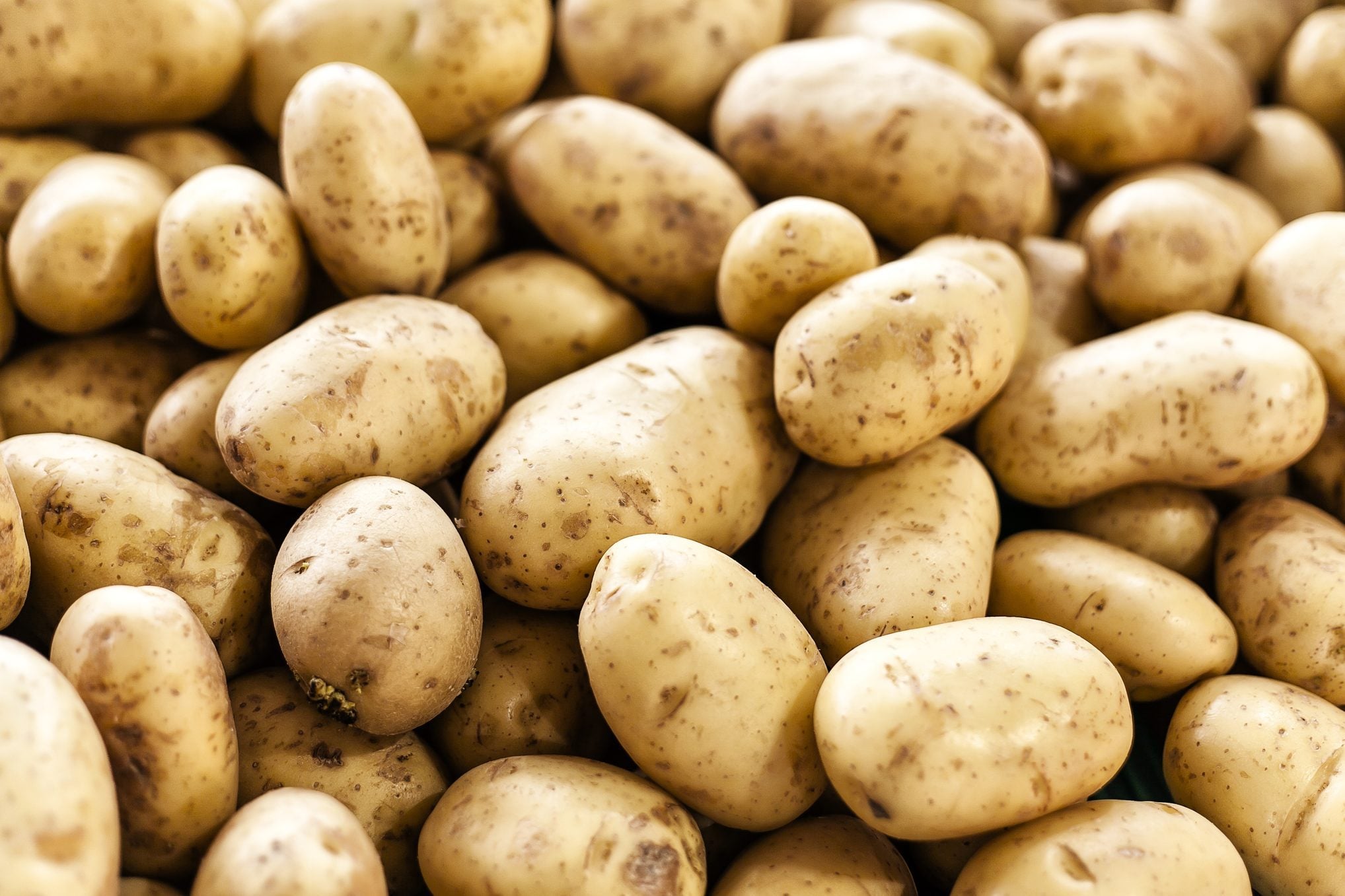 Fresh Potatoes 10kg