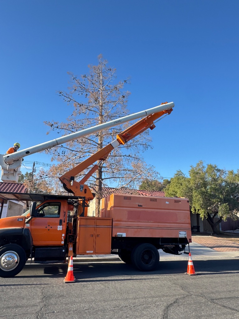 Tree service Las Vegas background