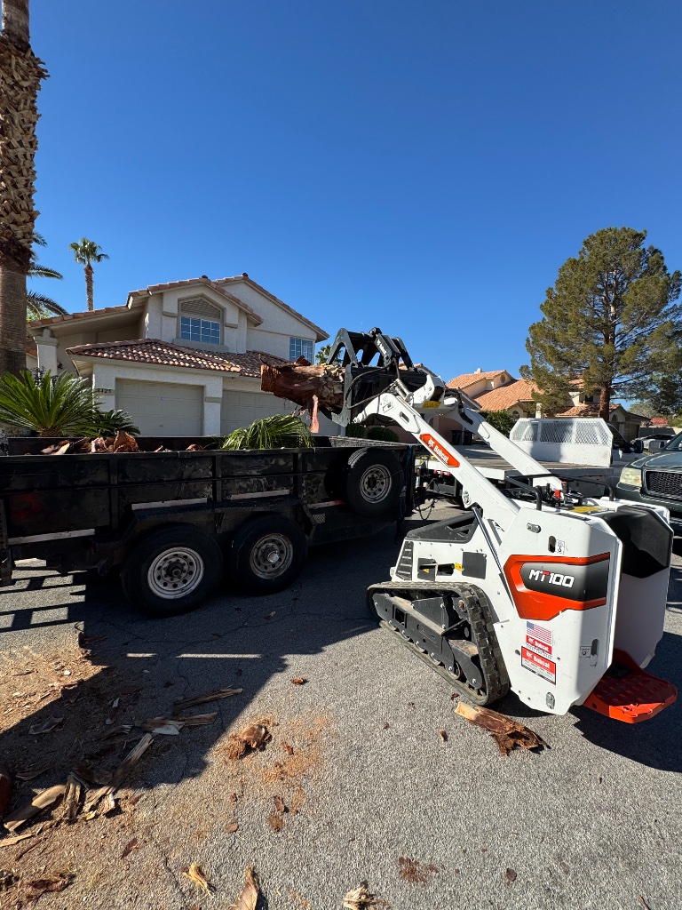 Woodys Tree Service Bobcat cleanup Las Vegas
