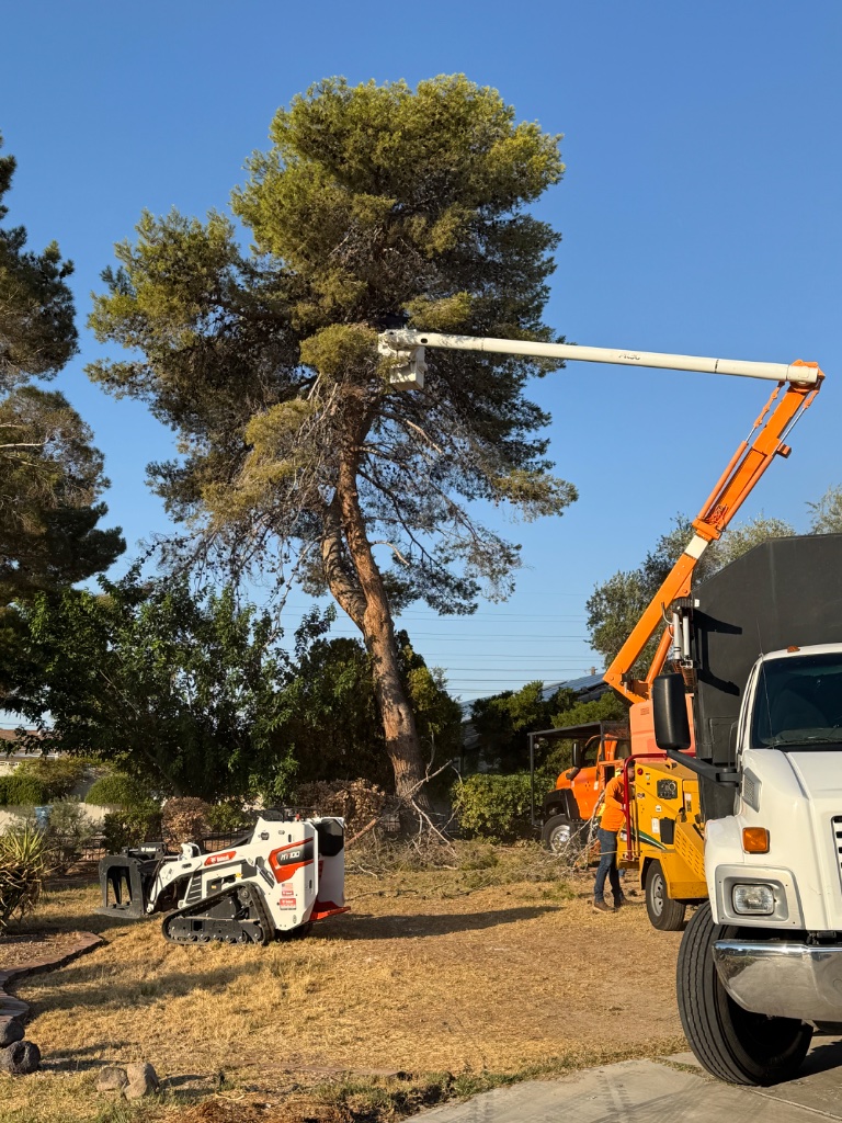 Woodys Tree Service crew on job site