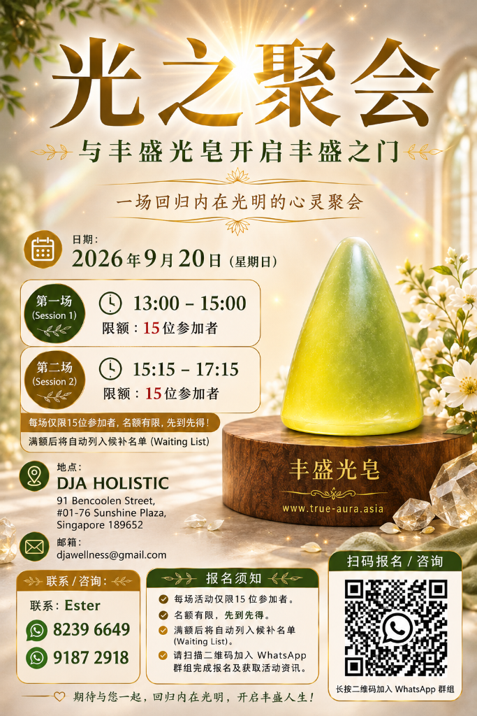 光之聚会 — True Aura 活动详情（中文）