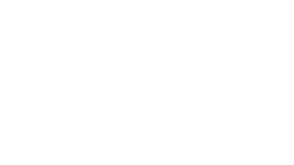 כח ההיולי עם נבו פרץ