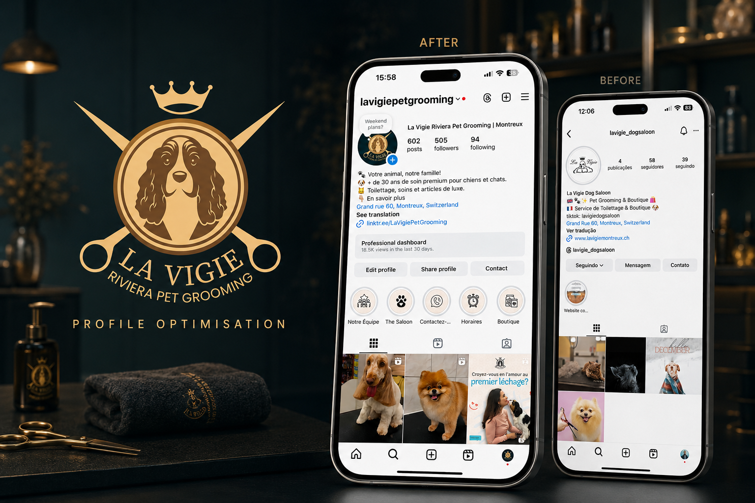 La Vigie — Profile Optimisation