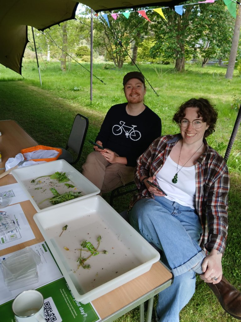 Jakob Wiil at the identification station during BioBlitz