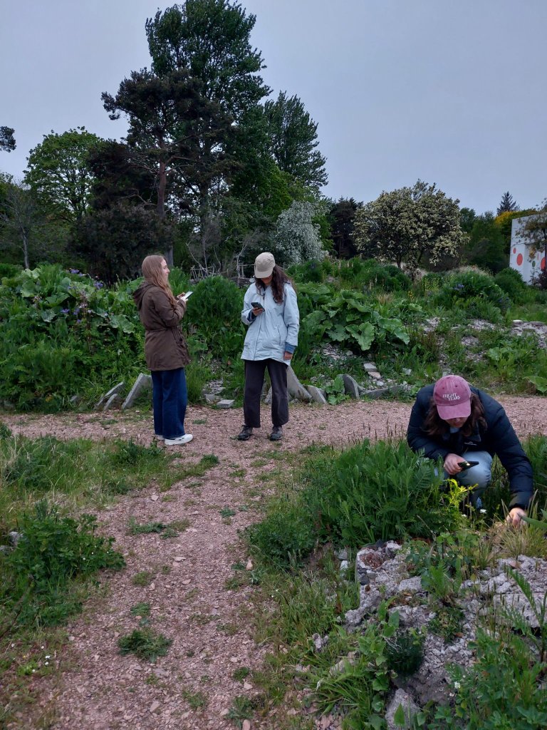 Participants recording biodiversity at St Andrews Botanic Garden BioBlitz