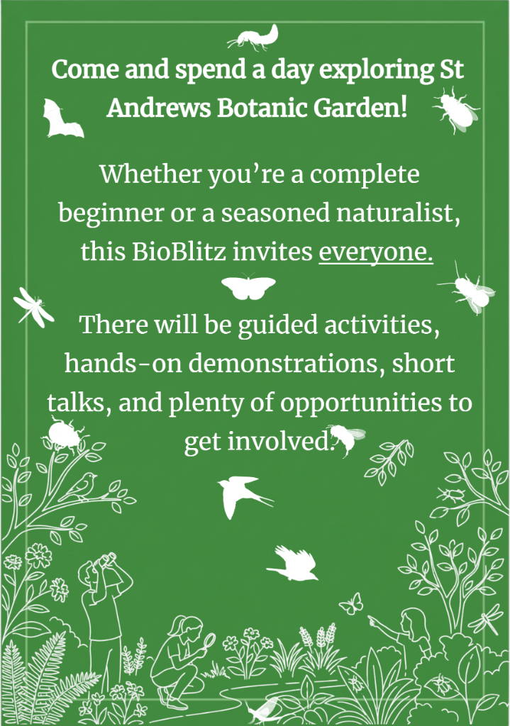 BioBlitz event details flyer