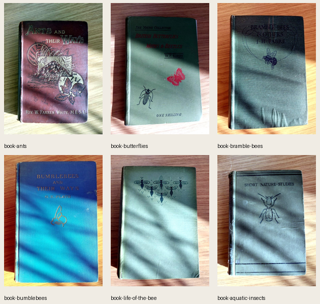 Ants and their Ways cover