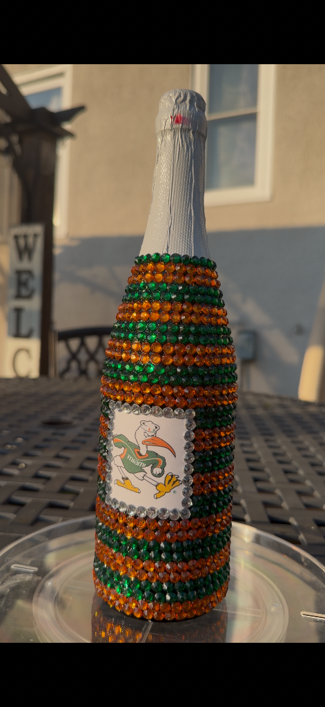 Miami Hurricanes