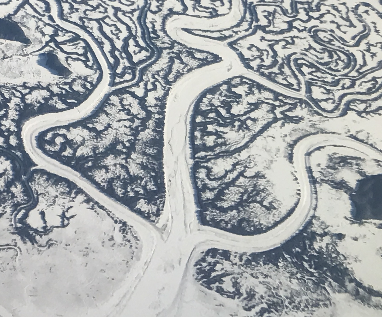 River delta aerial