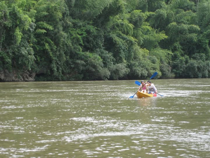 Two people paddling a bright yellow kayak through a jungle river
