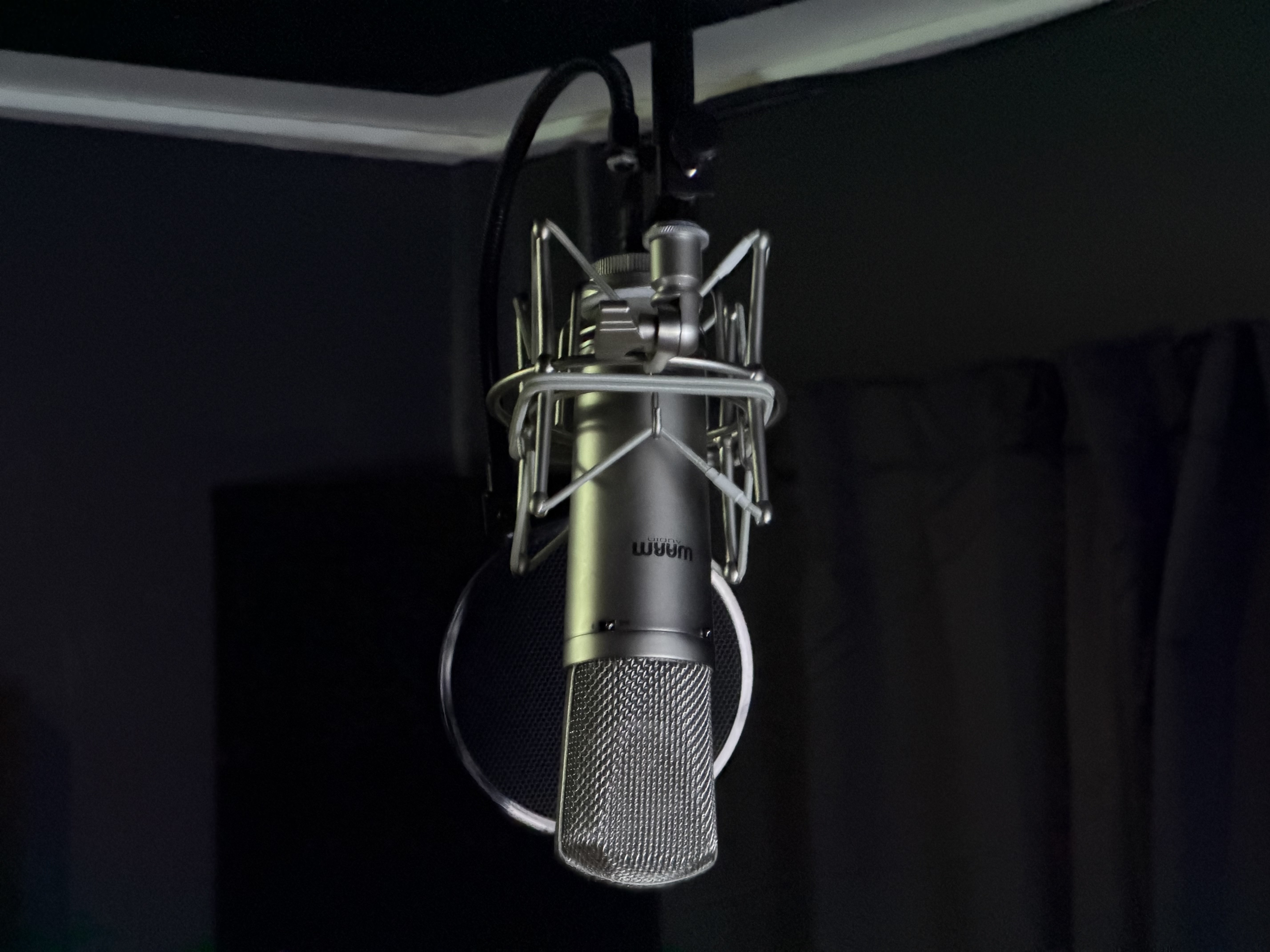 Warm Audio WA-CX condenser microphone in shock mount