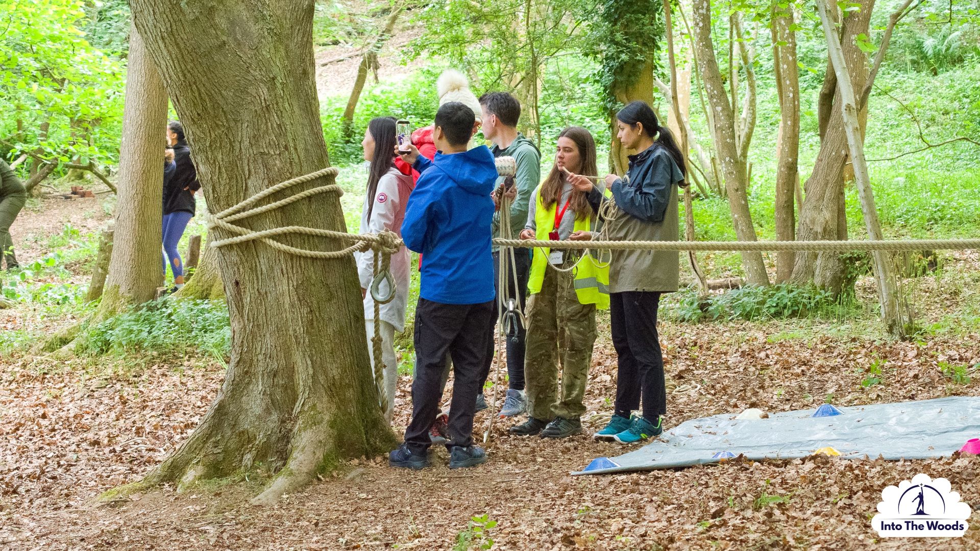 Team Building Kent - team working together to solve a woodland challenge