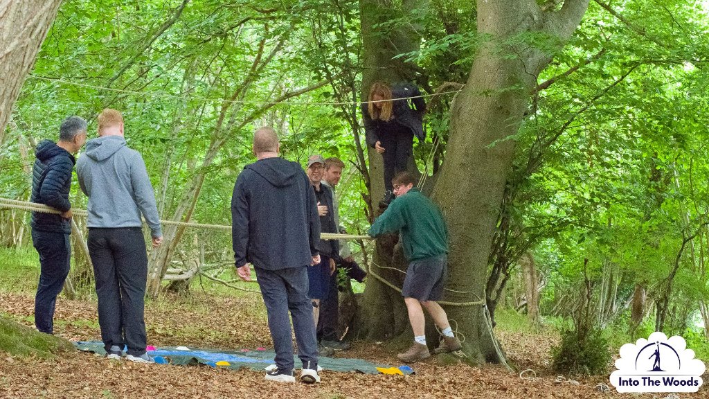 Team Building - group completing woodland challenge around a tree