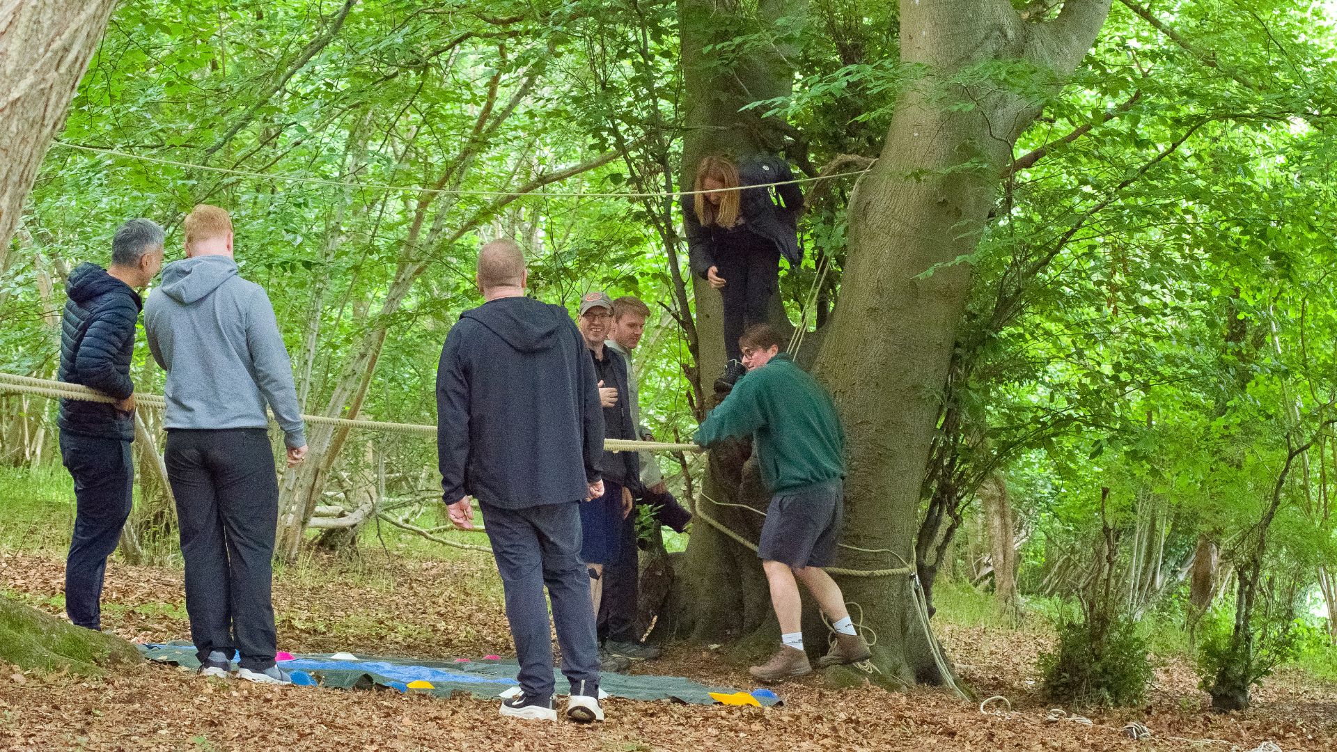 Team Building Challenges Rope Bridge