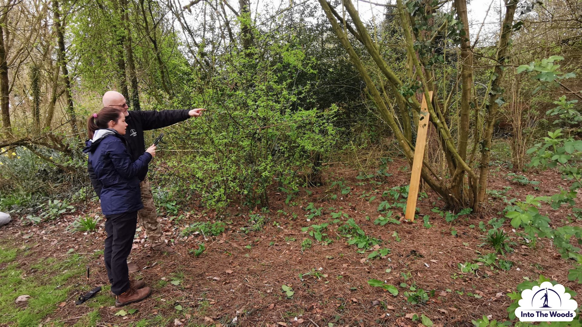Tool Skills & Safety Kent - participants enjoying the activity in woodland