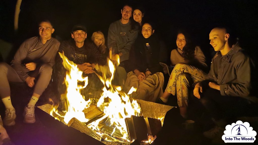 Campfire Experience - group around fire at night