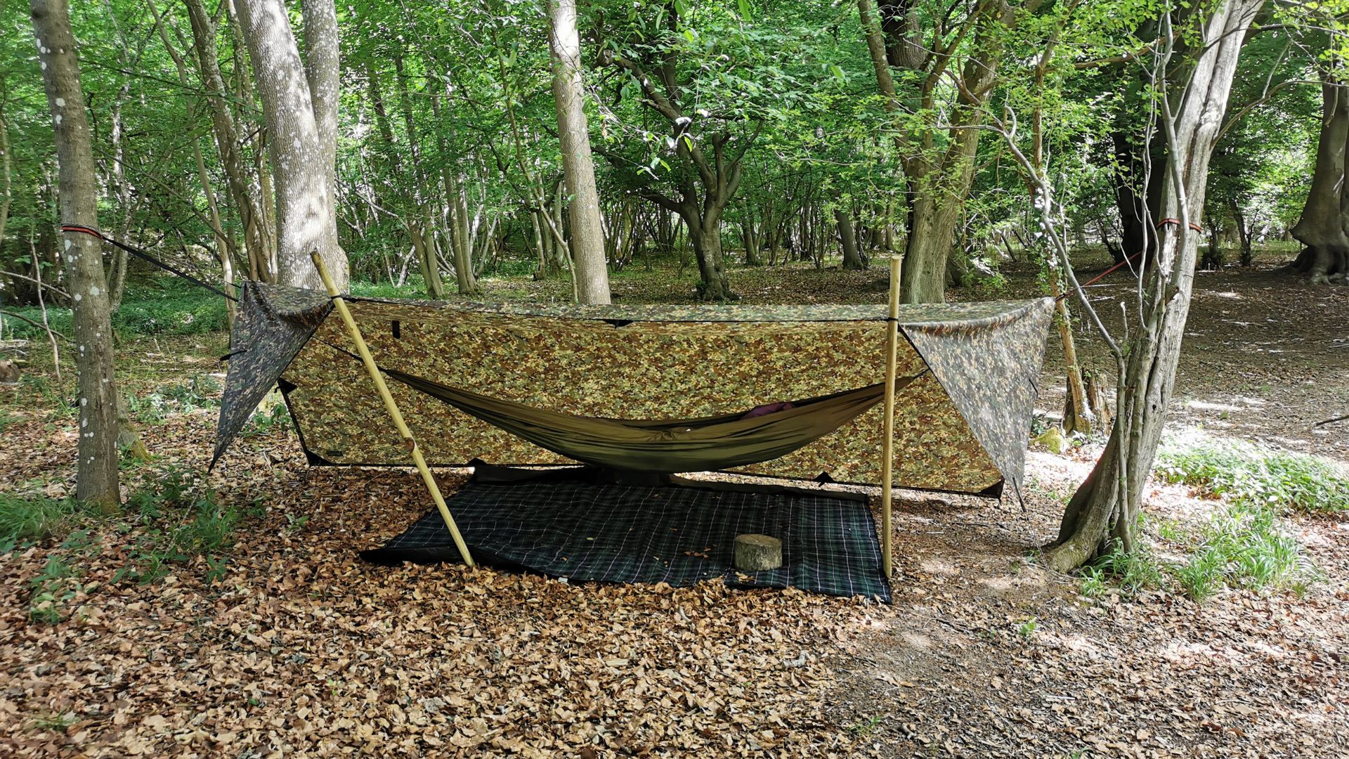 Prepping Kent - camouflage tarp shelter rigged between trees in woodland