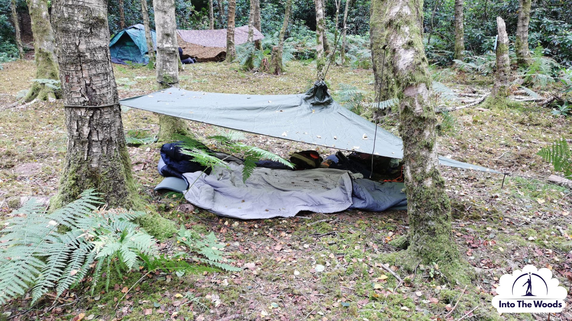 Prepping Kent - participants enjoying the activity in woodland