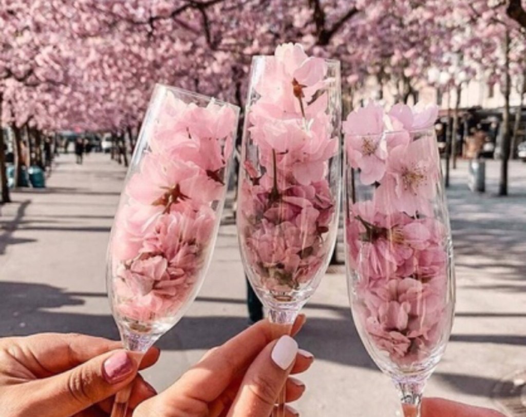 Celebrate with Your MUSE