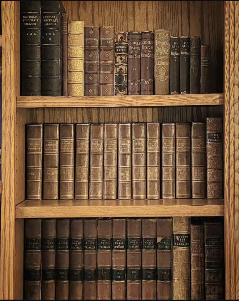 The Library Shelf