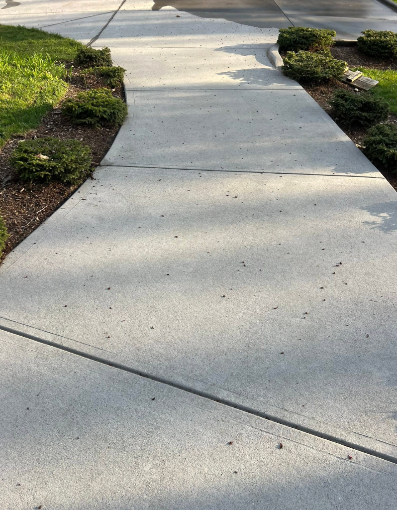 driveway and concrete pressure washing removing oil stains and mildew after cleaning in Boone, NC