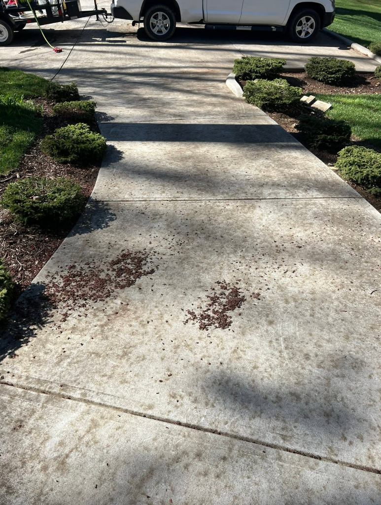 driveway and concrete pressure washing removing oil stains and mildew before cleaning in Boone, NC