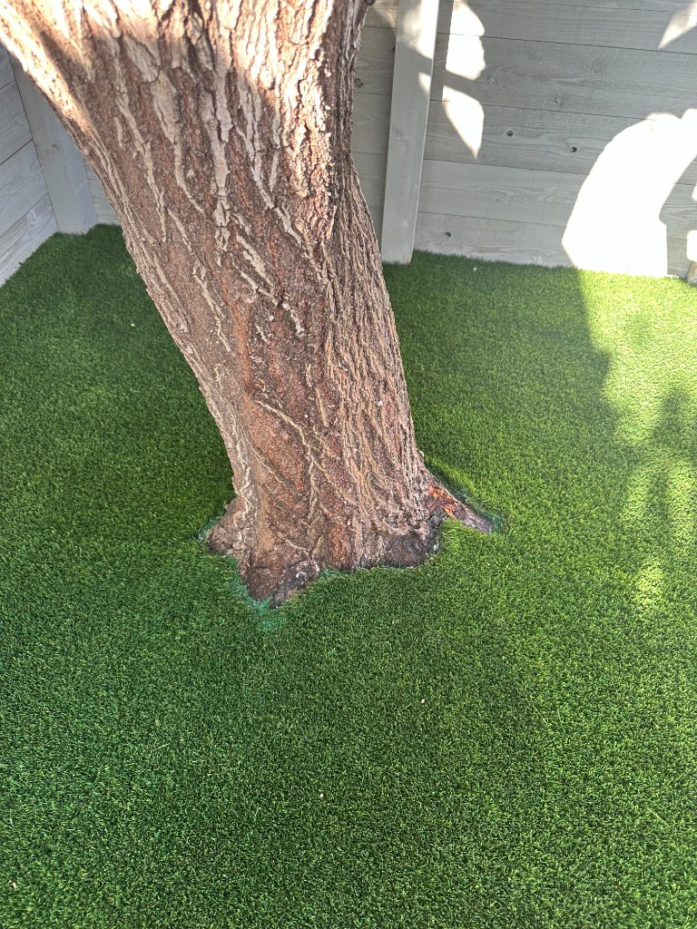 Artificial turf cut precisely around a mature tree trunk