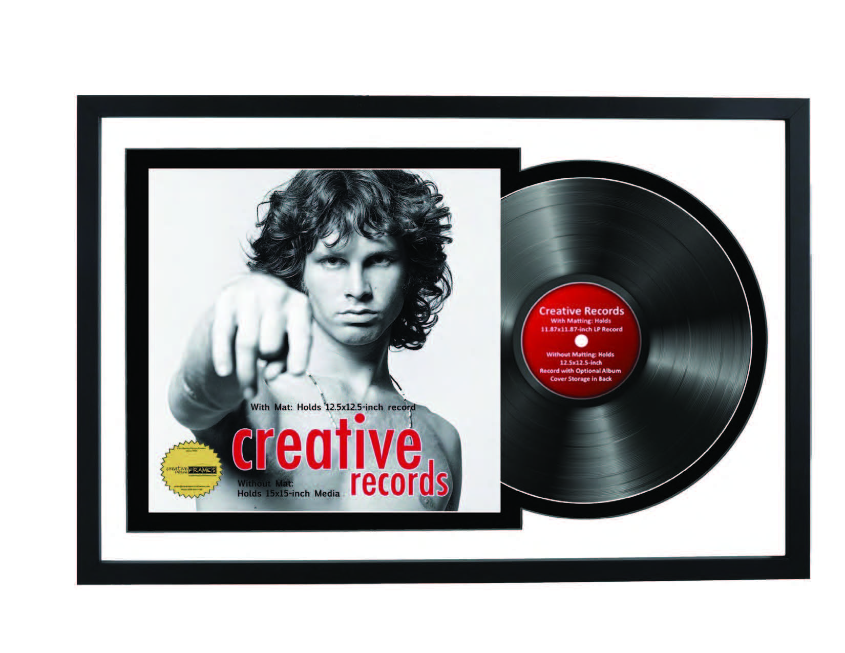 Framed Vinyl Display Case
