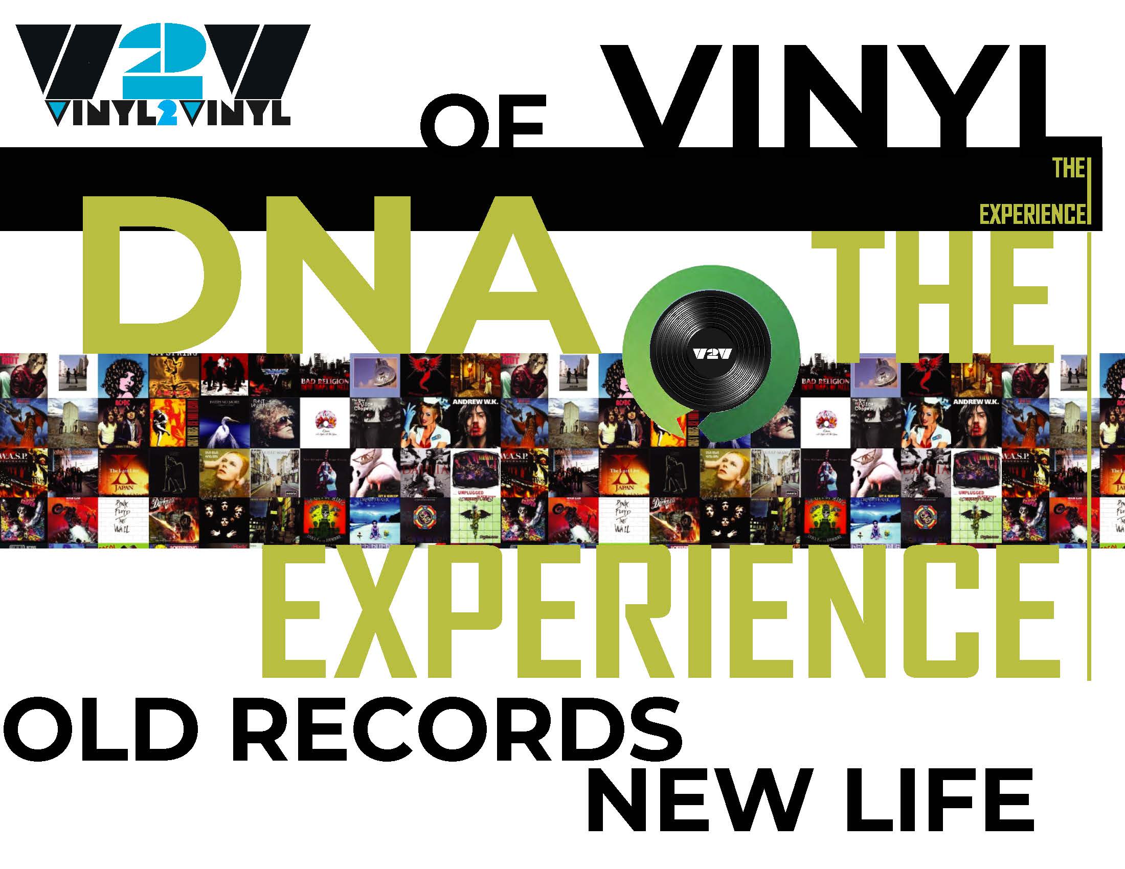 DNA — The Experience