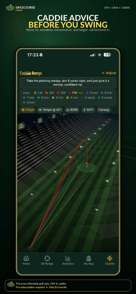 Caddie Advice Before You Swing