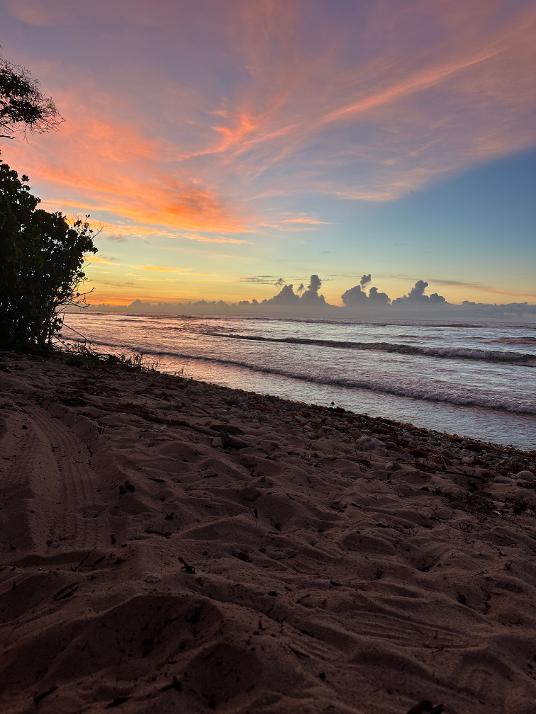 Golden sunset glowing over a calm shoreline at dusk