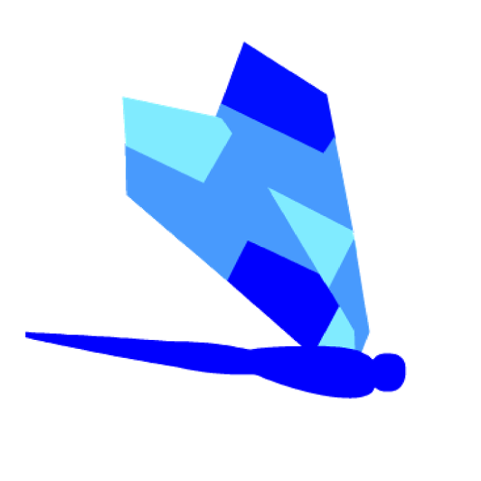 Blue Dragonfly logo